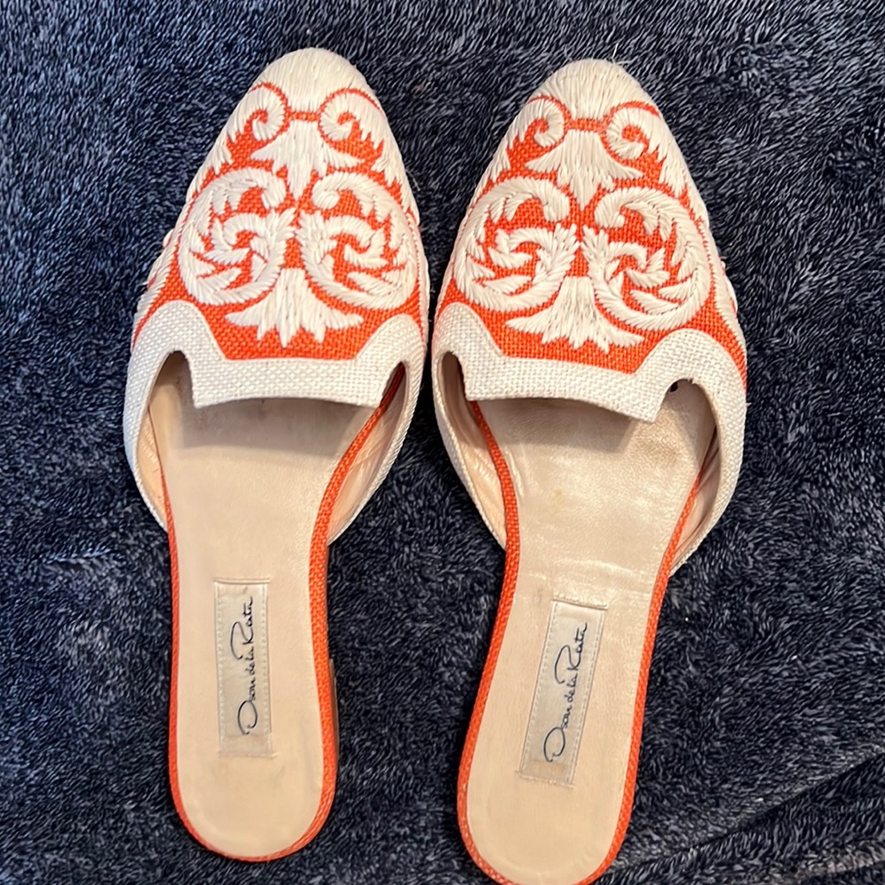 Beautiful Pair of Shoes